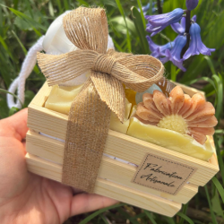 coffret bois cadeau nature Béloma