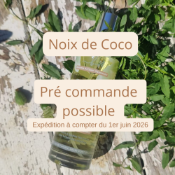 BEL'IXIR de Noix de Coco -...